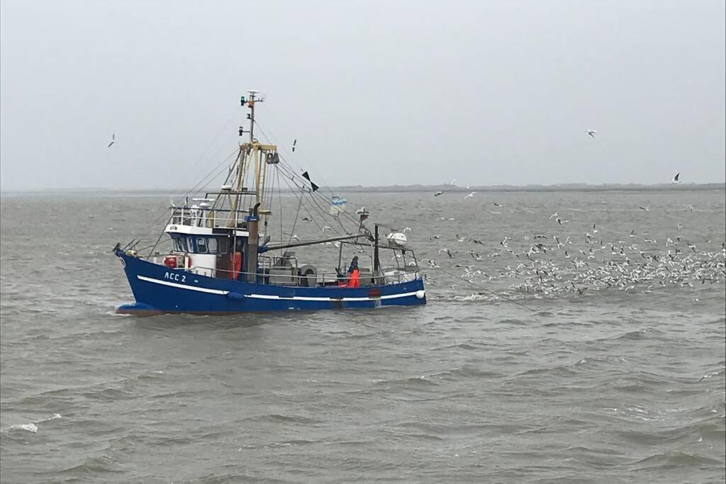 Nordsee Ferienwohnung Fuer 2 Personen شيلينغ المظهر الخارجي الصورة